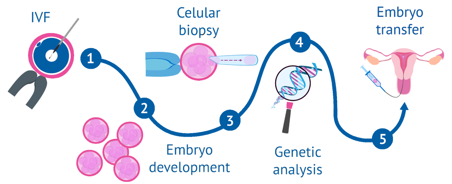 Preimplantation Genetic Diagnosis Pgd Planyourivf